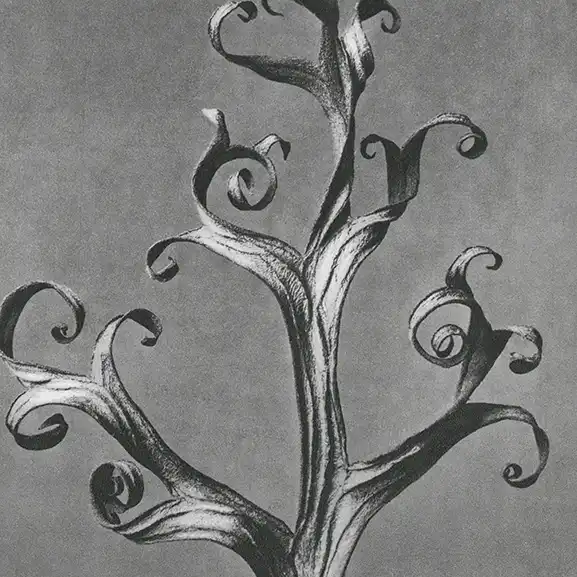 Gravure plaques  cuivre, photopolym&egrave;re